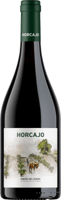 109,95 € Envoi gratuit | Vin Rouge Cepa 21 Horcajo D.O. Ribera del Duero Castille et Leon Espagne Tempranillo 75 cl