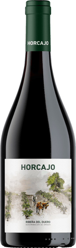 109,95 € Spedizione Gratuita | Vino Rosso Cepa 21 Horcajo D.O. Ribera del Duero Castilla y León Spagna Tempranillo 75 cl