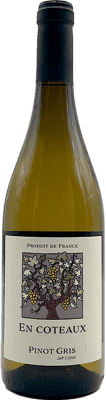 13,95 € Free Shipping | White wine Jeff Carrel Coteaux France Pinot Grey Bottle 75 cl