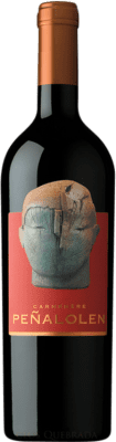 18,95 € Kostenloser Versand | Rotwein Clos Quebrada de Macul Peñalolén I.G. Valle del Maipo Maipotal Chile Carmenère Flasche 75 cl