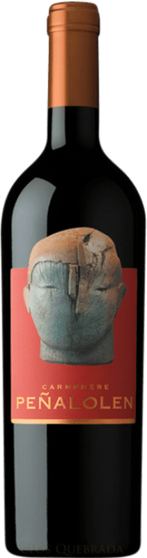 18,95 € Kostenloser Versand | Rotwein Clos Quebrada de Macul Peñalolén I.G. Valle del Maipo Maipotal Chile Carmenère Flasche 75 cl