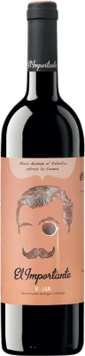 Siete Pasos El Importante Tempranillo 75 cl