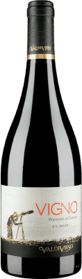 32,95 € Envio grátis | Vinho tinto Valdivieso Éclat Vigno Vignadores I.G. Valle del Maule Vale do Maule Chile Carignan, Mourvèdre Garrafa 75 cl