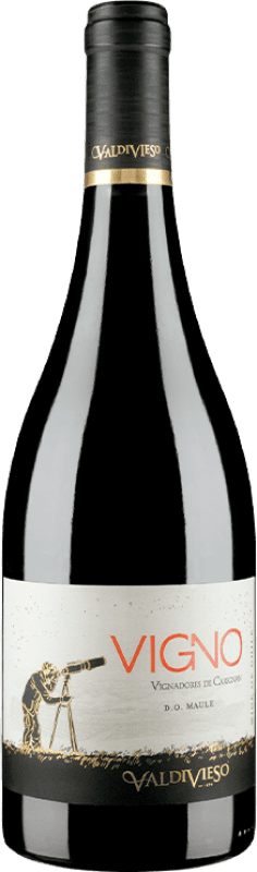 32,95 € Free Shipping | Red wine Valdivieso Éclat Vigno Vignadores I.G. Valle del Maule Maule Valley Chile Carignan, Mourvèdre Bottle 75 cl