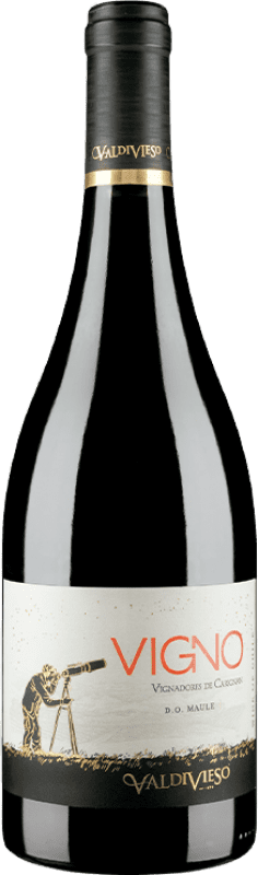 34,95 € Envoi gratuit | Vin Rouge Valdivieso Éclat Vigno Vignadores I.G. Valle del Maule Maule Valley Chili Cariñena — Carignan, Mourvèdre Bouteille 75 cl