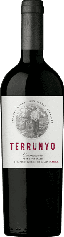 72,95 € 送料無料 | 赤ワイン Concha y Toro Terrunyo D.O. Area Peumo チリ Cabernet Sauvignon, Carmenère ボトル 75 cl