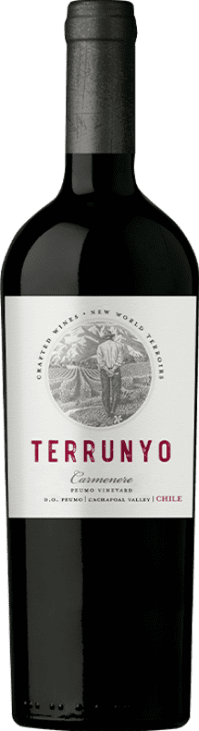 72,95 € Бесплатная доставка | Красное вино Concha y Toro Terrunyo D.O. Area Peumo Чили Cabernet Sauvignon — Каберне Совиньон, Carmenère — Карменер Бутылка 75 cl
