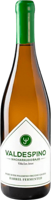 15,95 € Envoi gratuit | Vin blanc Valdespino D.O. Manzanilla-Sanlúcar de Barrameda Andalousie Espagne Palomino Fino Bouteille 75 cl