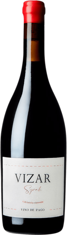 33,95 € Envío gratis | Vino tinto Vizar I.G.P. Vino de la Tierra de Castilla y León Castilla y León España Syrah Botella 75 cl