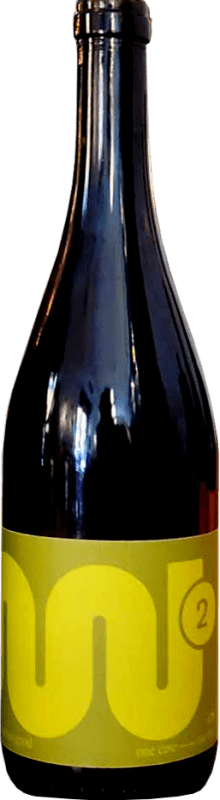 19,95 € Envoi gratuit | Vin Blanc Francesc Nicolas Ruuts Nº 2 Jeune Castilla la Mancha y Madrid Espagne Albillo, Macabeo — Macabeu, Airén Bouteille 75 cl