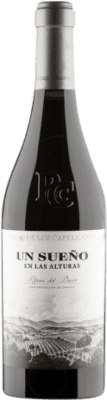 64,95 € Free Shipping | Red wine Pago de los Capellanes Un Sueño D.O. Ribera del Duero Castilla y León Spain Bottle 75 cl