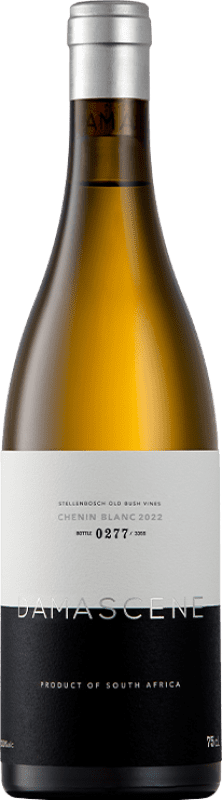 46,95 € Envoi gratuit | Vin blanc Damascene Old Vines I.G. Stellenbosch Stellenbosch Afrique du Sud Chenin Blanc Bouteille 75 cl