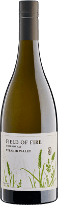 85,95 € Envio grátis | Vinho Branco Pyramid Valley Field of Fire I.G. North Canterbury Nova Zelândia Chardonnay 75 cl