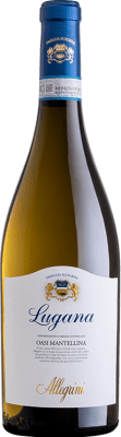 21,95 € Envio grátis | Vinho branco Allegrini Lugana Oasi Mantellina Turbiana D.O.C. Lugana Itália Garrafa 75 cl