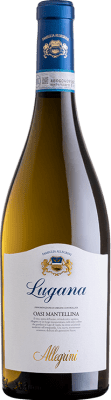 15,95 € Envío gratis | Vino Blanco Allegrini Lugana Oasi Mantellina Turbiana D.O.C. Lugana Italia 75 cl