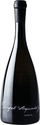 24,95 € Envío gratis | Vino blanco Ángel Sequeiros Lías D.O. Rías Baixas España Albariño Botella 75 cl