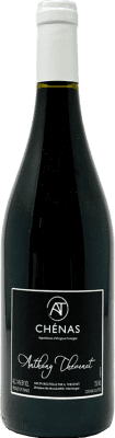 25,95 € Envío gratis | Vino Tinto Anthony Thevenet A.O.C. Chénas Francia Gamay 75 cl