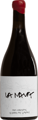 59,95 € Free Shipping | Red wine Bruma Nava D.O.P. Cebreros Spain Grenache Bottle 75 cl