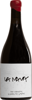 46,95 € Envío gratis | Vino Tinto Bruma Nava D.O.P. Cebreros España Garnacha 75 cl