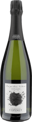 72,95 € Бесплатная доставка | Белое игристое Marie Copinet Nos Pans dans la Terre A.O.C. Champagne Франция Pinot Black, Pinot Meunier бутылка 75 cl