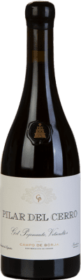 Gil Pejenaute Pilar del Cerro Grenache 75 cl