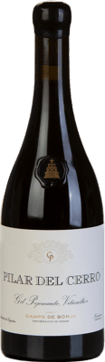 36,95 € Envoi gratuit | Vin Rouge Gil Pejenaute Pilar del Cerro D.O. Campo de Borja Espagne Garnacha — Grenache 75 cl
