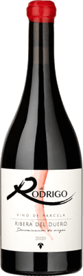 Nuntium De Rodrigo Tempranillo 75 cl