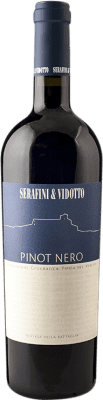 18,95 € Бесплатная доставка | Красное вино Serafini e Vidotto Giovane I.G.T. Veneto Италия Pinot Noir — Пино Нуар 75 cl