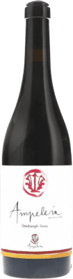 Ampeleia Cabernet Franc 1,5 L