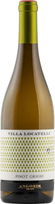 11,95 € Kostenloser Versand | Weißwein Angoris Villa Locatelli D.O.C. Montepulciano d'Abruzzo Abruzzen Italien Pinot Gris — Grauburgunder 75 cl