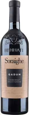 16,95 € Spedizione Gratuita | Vino Rosso Bennati Gadum I.G.T. Veneto Veneto Italia 75 cl
