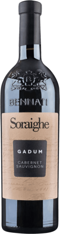 14,95 € Envio grátis | Vinho Tinto Bennati Gadum I.G.T. Veneto Vêneto Itália 75 cl