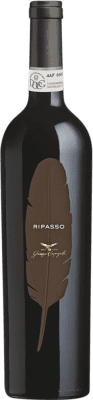 19,95 € Kostenloser Versand | Rotwein Giuseppe Campagnola Piuma D.O.C. Valpolicella Ripasso Venecia Italien Nebbiolo, Corvina, Molinara 75 cl