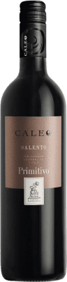 Botter Carlo Caleo Primitivo 75 cl