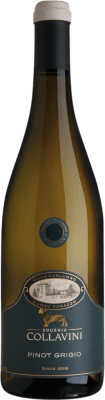 Collavini Villa Canlungo Pinot Grey 75 cl