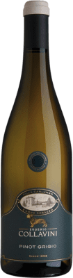 14,95 € Envío gratis | Vino Blanco Collavini Villa Canlungo D.O.C. Collio Italia Pinot Gris 75 cl