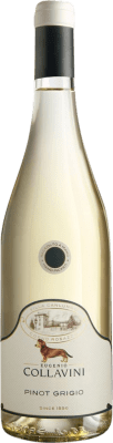 Collavini Villa Canlungo Pinot Grey 75 cl