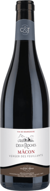 24,95 € Envoi gratuit | Vin rouge Collovray & Terrier Verger des Feuillants Rouge A.O.C. Mâcon Bourgogne France Pinot Noir Bouteille 75 cl