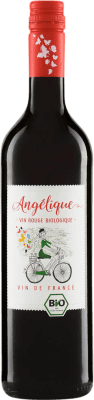 10,95 € Envío gratis | Vino Tinto Dante Rivetti Loire Francia Eco — Ecológico 75 cl