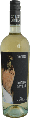 9,95 € Envoi gratuit | Vin blanc Di Camillo Contessa Camilla D.O.C. Abruzzo Abruzzes Italie Pinot Gris Bouteille 75 cl