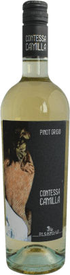 9,95 € Kostenloser Versand | Weißwein Di Camillo Contessa Camilla D.O.C. Abruzzo Abruzzen Italien Pinot Gris — Grauburgunder Flasche 75 cl