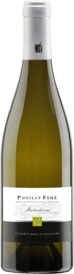 35,95 € Envoi gratuit | Vin Blanc Gérard Fiou A.O.C. Pouilly-Fumé Loire France Sauvignon 75 cl