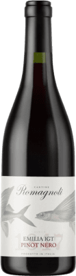 Edizione Viticoltore Pinot Black 75 cl