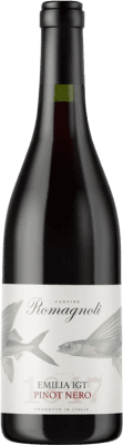 Viticoltore Pinot Noir — Пино Нуар Ограниченный выпуск 75 cl