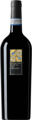 14,95 € 免费送货 | 白葡萄酒 Feudi di San Gregorio D.O.C. Falanghina del Sannio Franschhoek 意大利 Falanghina — 法朗吉娜 75 cl