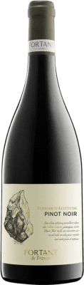 Fortant de France Terroir d'Altitude Pinot Black 75 cl