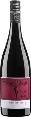 Friedrich Becker Pinot Black ドライ 37 cl