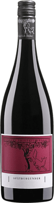 12,95 € Spedizione Gratuita | Vino Rosso Friedrich Becker Trocken — Secco Q.b.A. Pfälz PFALZ Germania Pinot Nero Mezza Bottiglia 37 cl