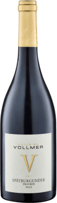 10,95 € 免费送货 | 红酒 Heinrich Vollmer 50 HL 干 Q.b.A. Pfälz 普法尔茨 德国 Pinot Black 瓶子 75 cl