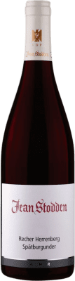 Jean Stodden Recher Pinot Black ドライ 75 cl